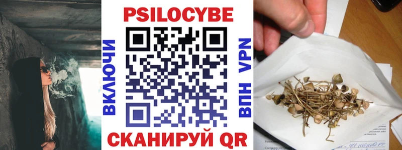 shop какой сайт Волгоград Псилоцибиновые грибы MAGIC MUSHROOMS купить наркотики цена